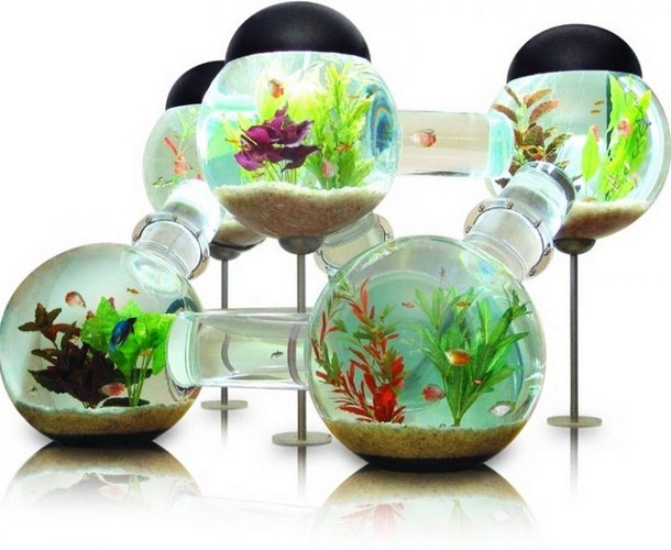 Aquarium Bulat Paralel