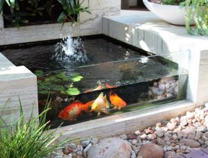 desain kolam ikan minimalis depan rumah cocok di lahan sempit